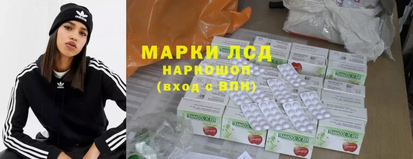 ПСИЛОЦИБИНОВЫЕ ГРИБЫ Бородино