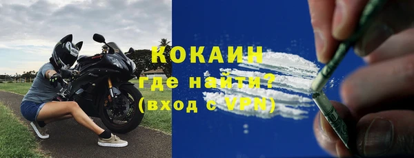 ПСИЛОЦИБИНОВЫЕ ГРИБЫ Бородино