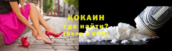 ПСИЛОЦИБИНОВЫЕ ГРИБЫ Бородино