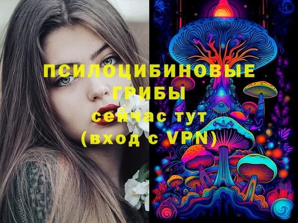 spice Бугульма