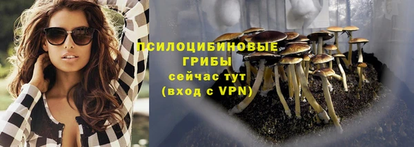 ПСИЛОЦИБИНОВЫЕ ГРИБЫ Бородино