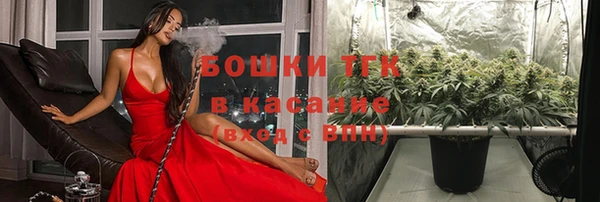 ПСИЛОЦИБИНОВЫЕ ГРИБЫ Бородино