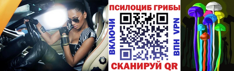 Галлюциногенные грибы MAGIC MUSHROOMS Майкоп