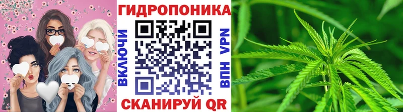 Бошки марихуана гибрид  Майкоп 